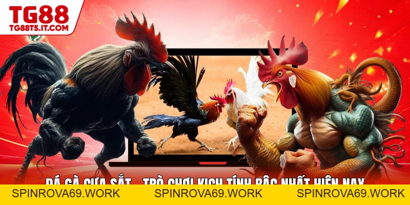 Đá Gà Cựa Sắt - Trò Chơi Kịch Tính Bậc Nhất Hiện Nay - spinrova69.work