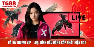 TG88 Jira 🎖️ TG 88: Trang Chủ Chính Thức TG88.COM Tặng +88K - spinrova69.work