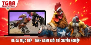 TG88 Jira 🎖️ TG 88: Trang Chủ Chính Thức TG88.COM Tặng +88K - spinrova69.work