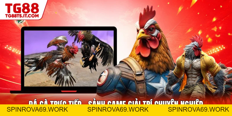 Đá Gà Trực Tiếp - Sảnh Game Giải Trí Chuyên Nghiệp - spinrova69.work