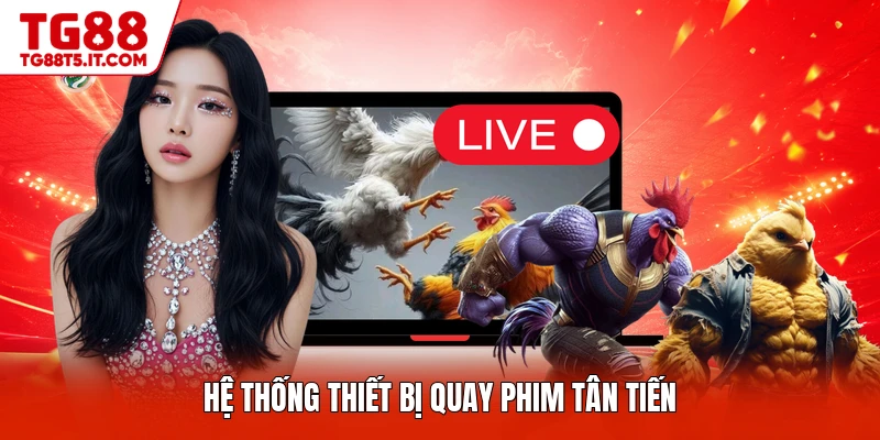 Đá Gà Thomo Vip - Loại Hình Đấu Đẳng Cấp Nhất Hiện Nay - spinrova69.work