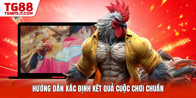 Đá Gà Trực Tiếp - Sảnh Game Giải Trí Chuyên Nghiệp - spinrova69.work