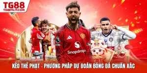 Thể Thao TG88 – Khám Phá Thế Giới Cá Cược Đầy Kịch Tính - spinrova69.work