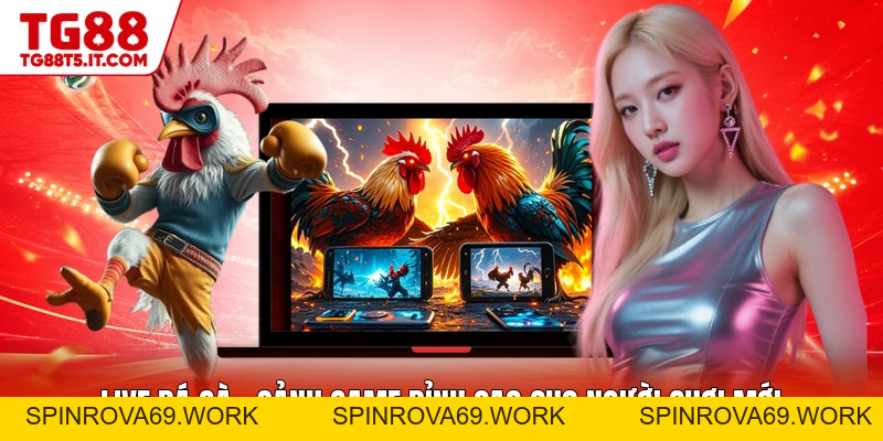 Live Đá Gà - Sảnh Game Đỉnh Cao Cho Người Chơi Mới - spinrova69.work