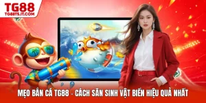 Bắn Cá TG88: Nơi Hội Tụ Nhiều Tựa Game Săn Cá Được Yêu Thích - spinrova69.work