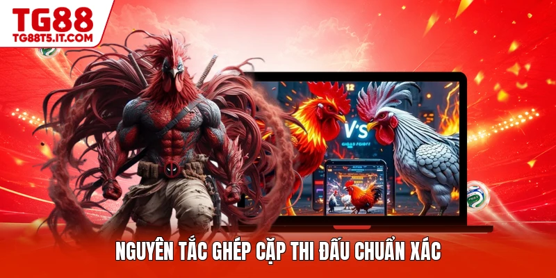 Đá Gà Thomo Vip - Loại Hình Đấu Đẳng Cấp Nhất Hiện Nay - spinrova69.work