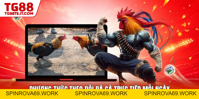 Đá Gà Trực Tiếp - Sảnh Game Giải Trí Chuyên Nghiệp - spinrova69.work