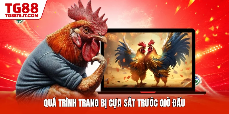 Live Đá Gà - Sảnh Game Đỉnh Cao Cho Người Chơi Mới - spinrova69.work