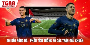 Thể Thao TG88 – Khám Phá Thế Giới Cá Cược Đầy Kịch Tính - spinrova69.work