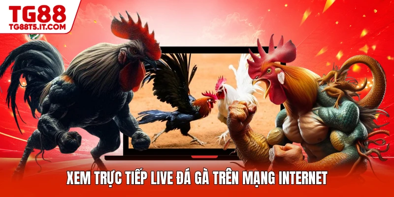 Live Đá Gà - Sảnh Game Đỉnh Cao Cho Người Chơi Mới - spinrova69.work